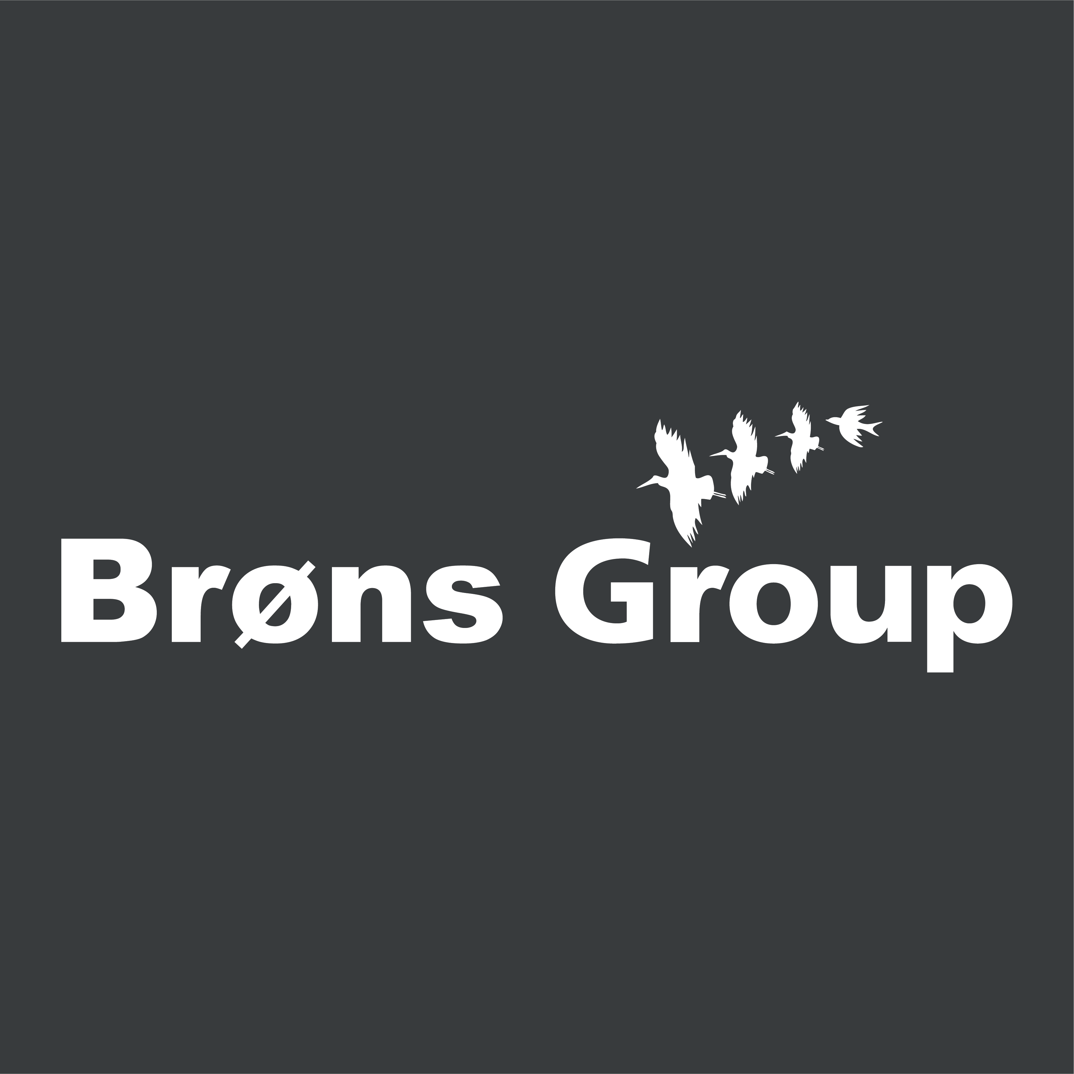 Brøns Group søger Reservedelsekspedient logo
